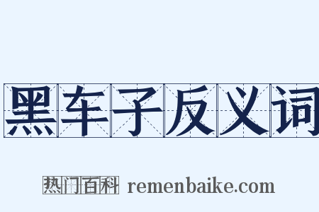 黑车子反义词是什么意思的图片